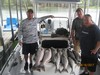 (08/16/2017) - Nice Striped Bass